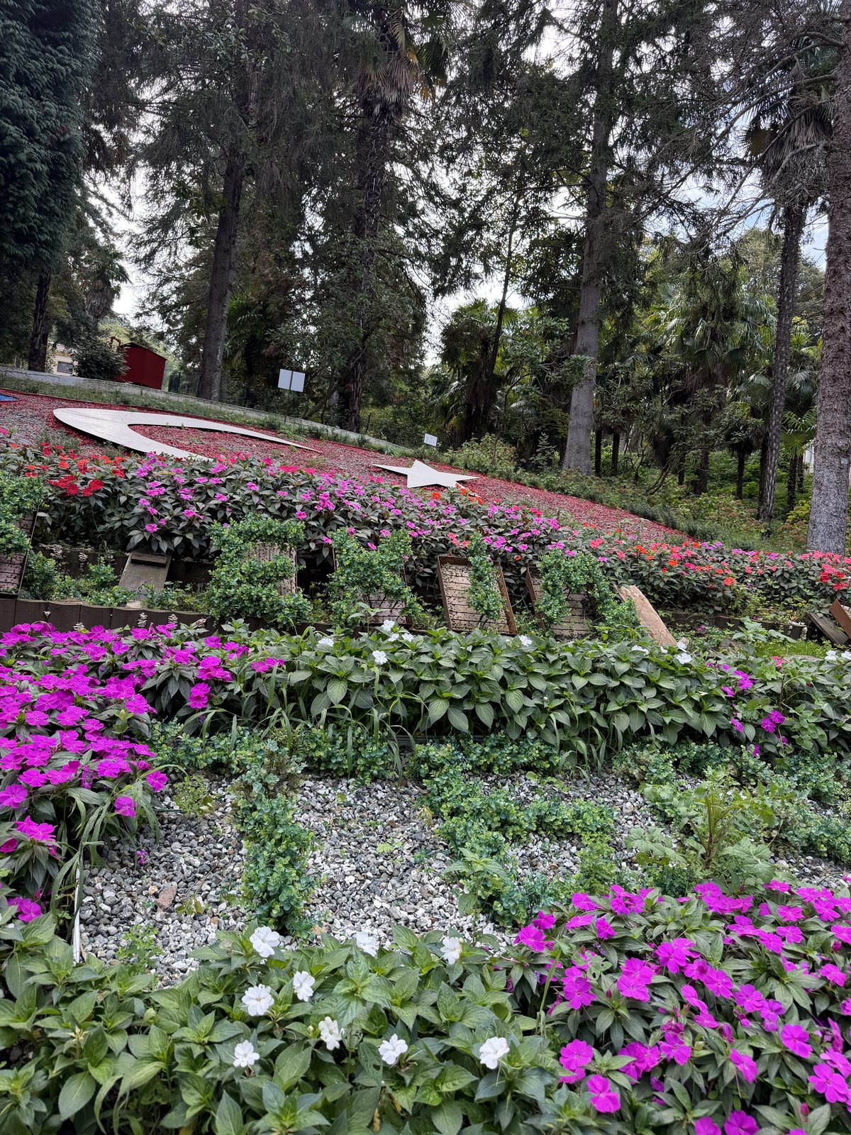 The Republic's Tree Museums: Yalova
